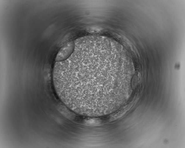 X0000101970561200808151340