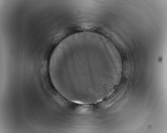 X0000101970563200808151340