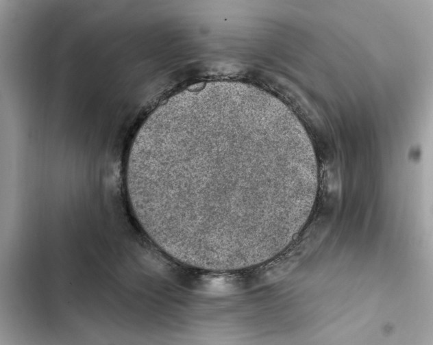 X0000101970564200808151340