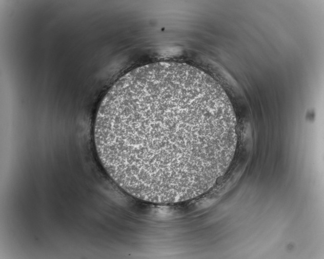 X0000101970565200808151340