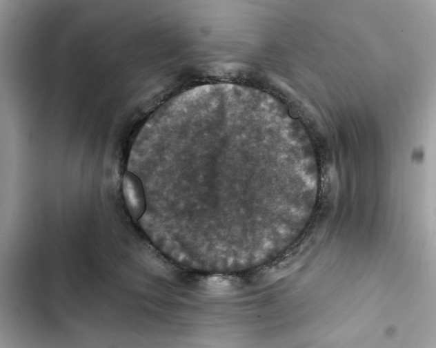 X0000101970566200808151340
