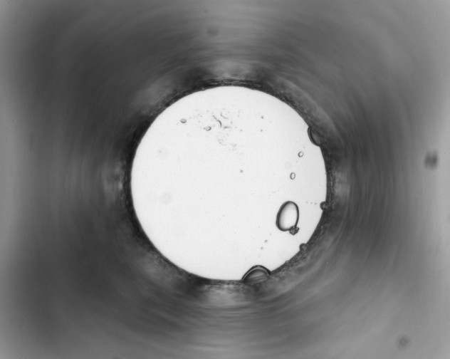 X0000101970567200808151340