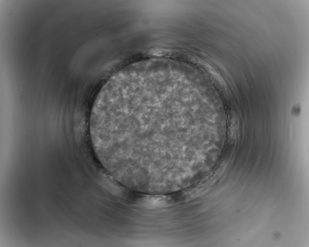 X0000101970569200808151340
