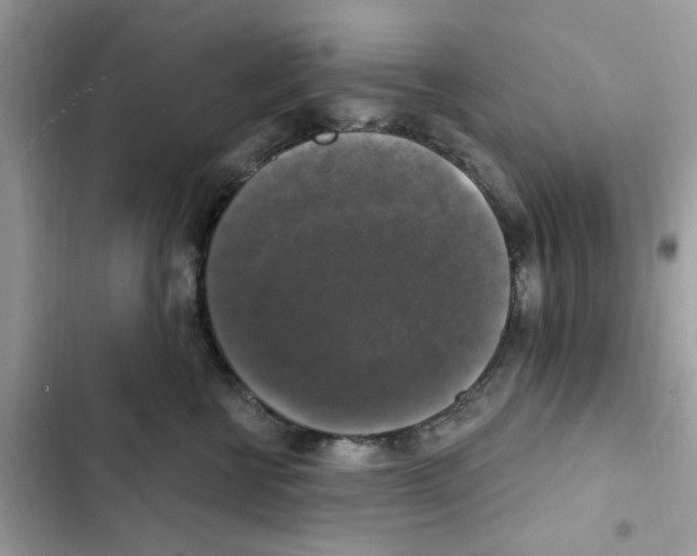 X0000101970570200808151341