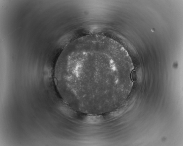 X0000101970571200808151341
