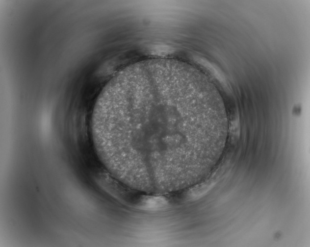 X0000101970572200808151341