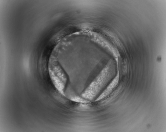 X0000101970573200808151341