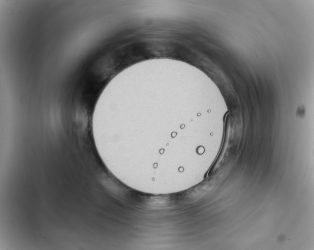 X0000101970574200808151341