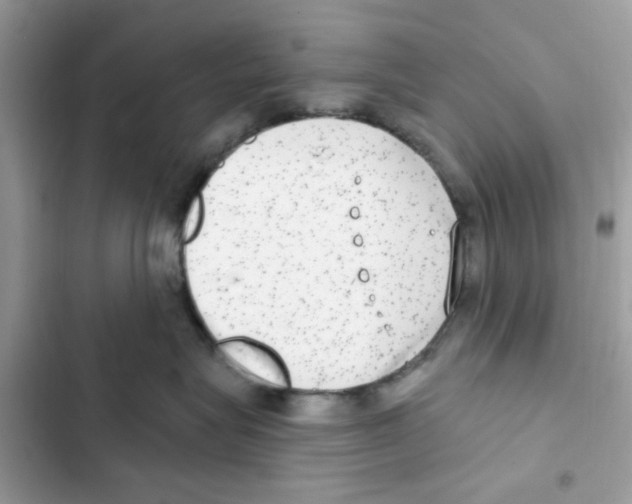X0000101970575200808151341