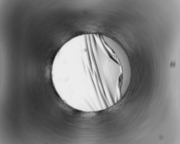 X0000101970576200808151341