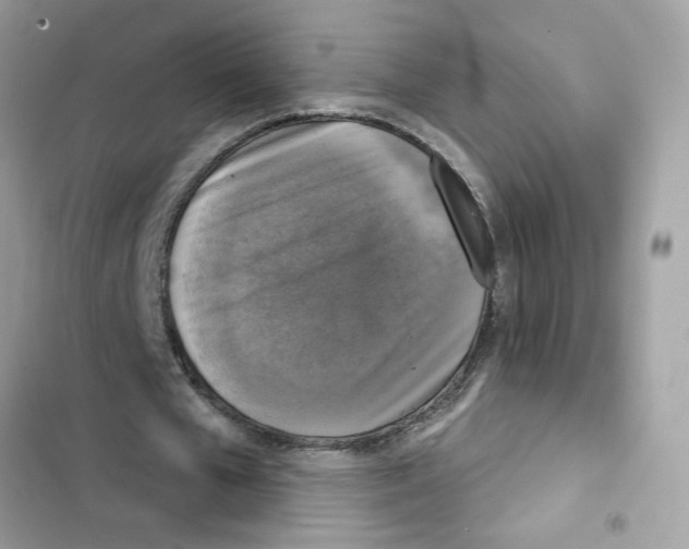 X0000101970577200808151340