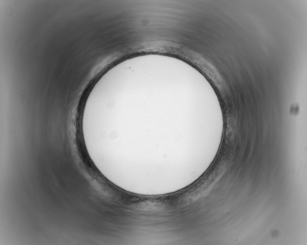 X0000101970578200808151340