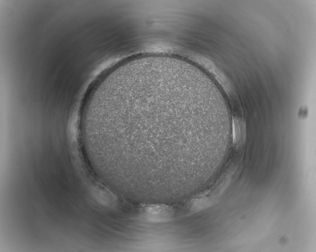 X0000101970579200808151340