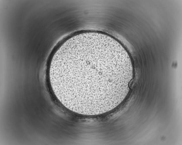 X0000101970580200808151340