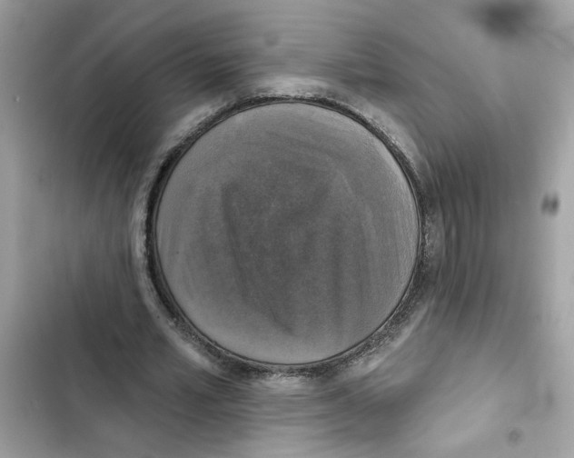 X0000101970581200808151340