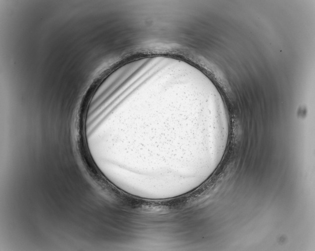 X0000101970582200808151340