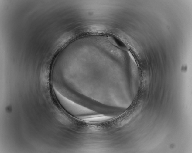 X0000101970585200808151340