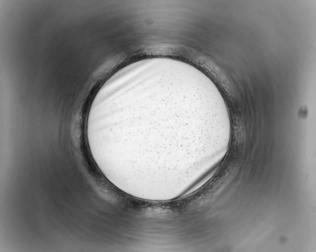 X0000101970586200808151340
