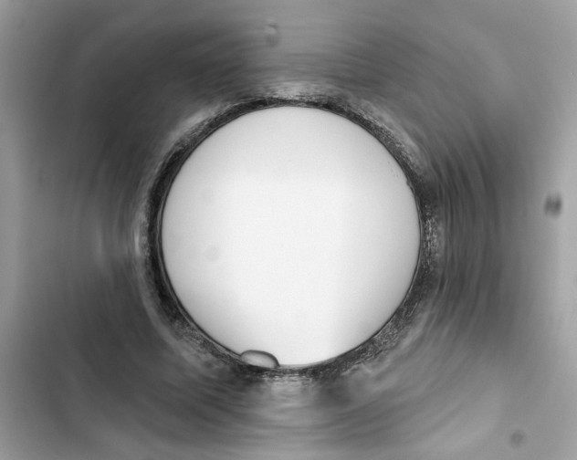 X0000101970587200808151340