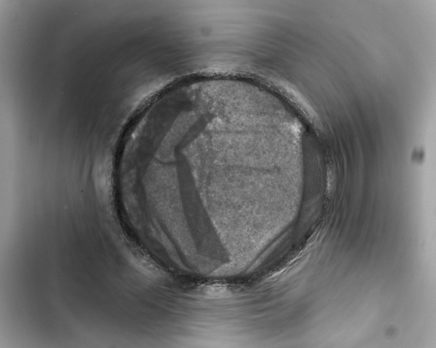 X0000101970588200808151340