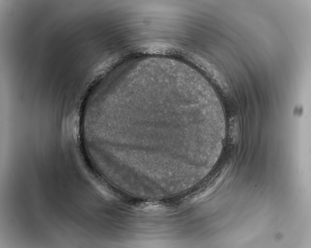 X0000101970589200808151340