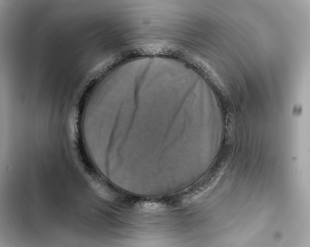 X0000101970590200808151340