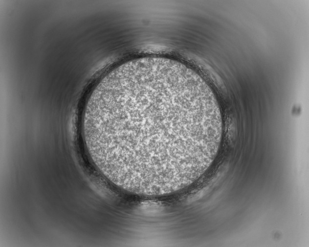 X0000101970591200808151340