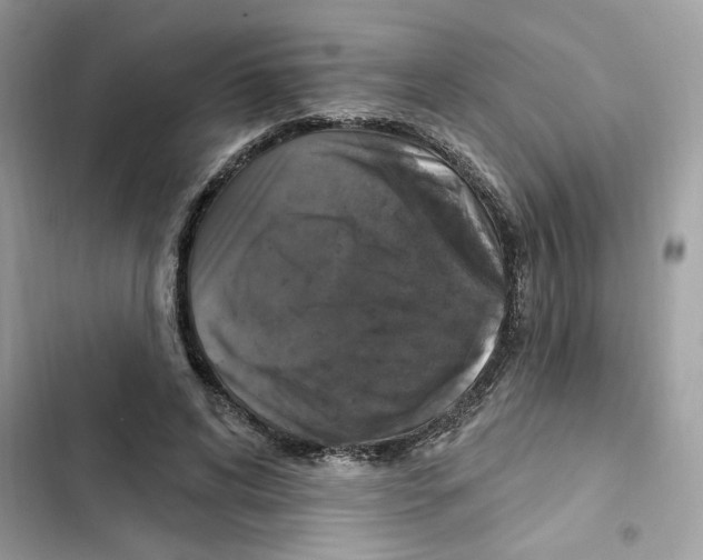 X0000101970592200808151340