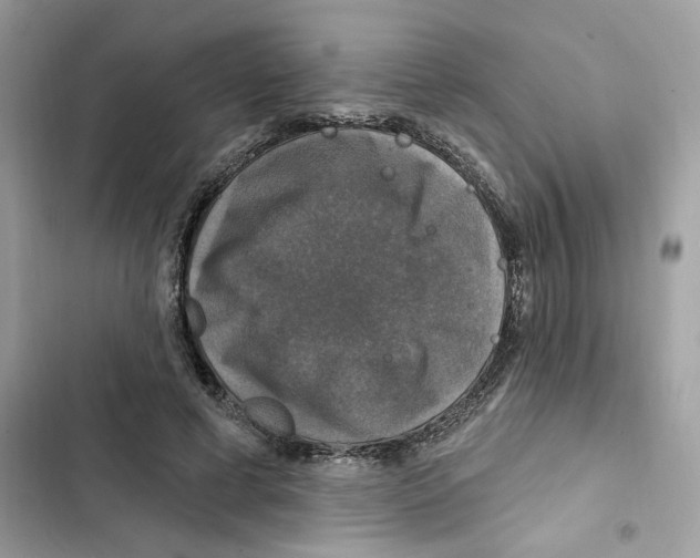 X0000101970593200808151339