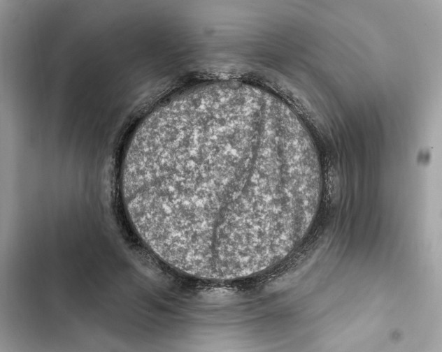 X0000101970594200808151339