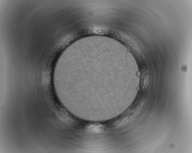 X0000101970595200808151339