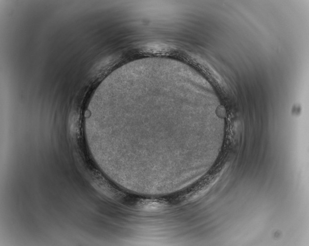 X0000101970597200808151339