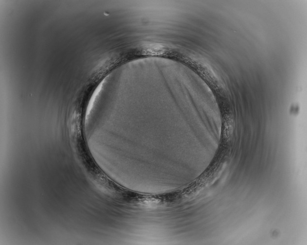 X0000101970598200808151339