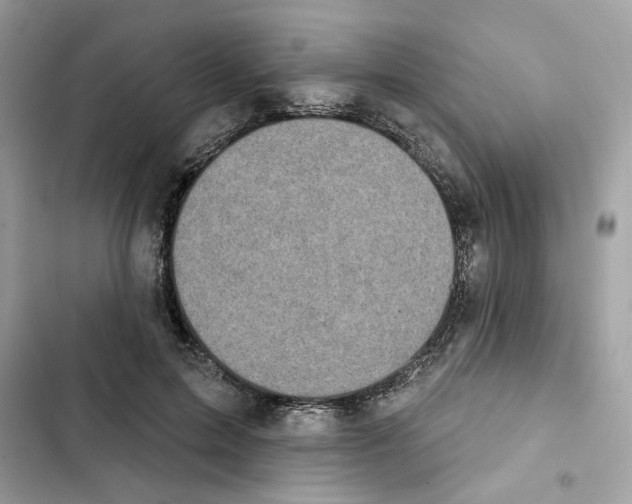 X0000101970599200808151339