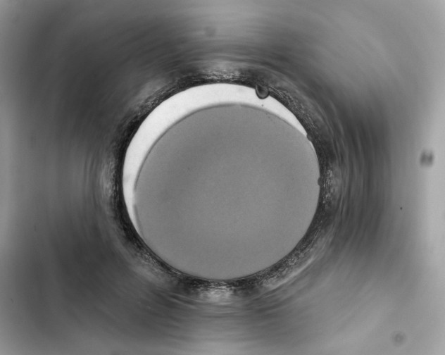 X0000101970600200808151339