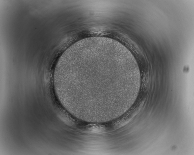 X0000101970601200808151339