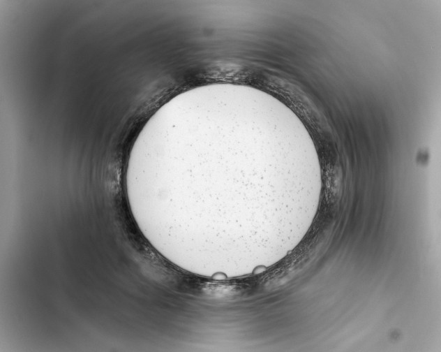 X0000101970602200808151339