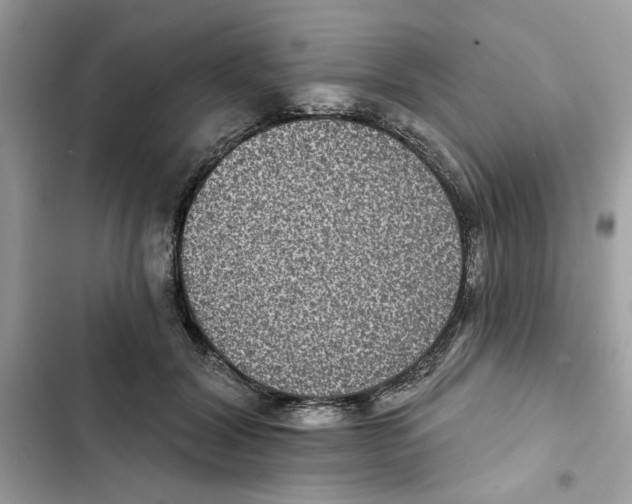 X0000101970604200808151339