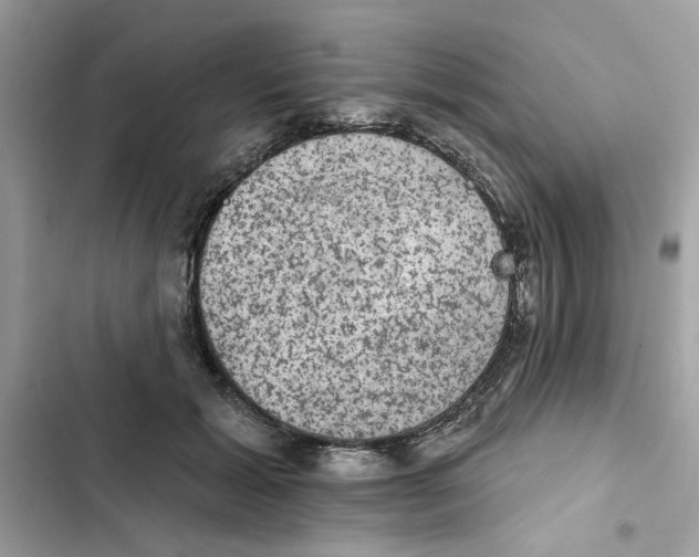 X0000101970605200808151339