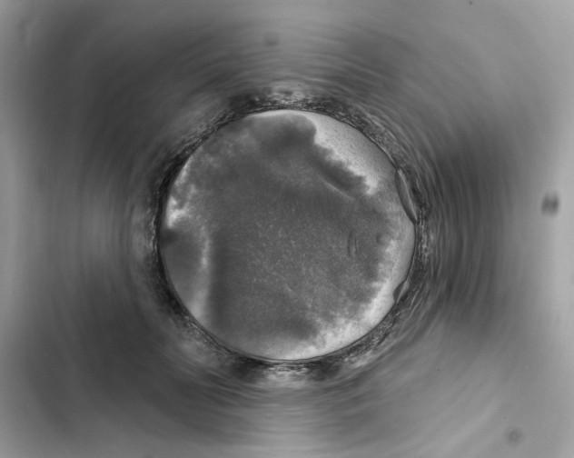 X0000101970606200808151339