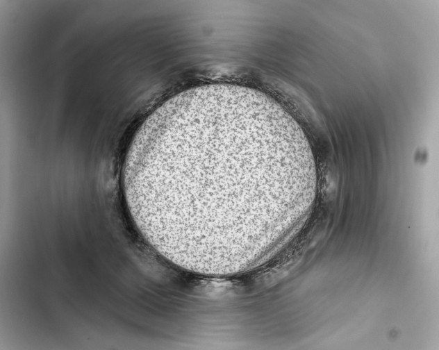 X0000101970607200808151339