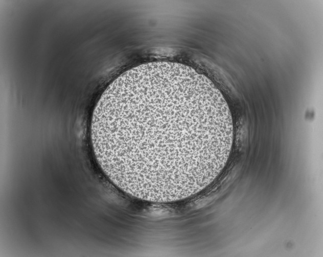 X0000101970608200808151339