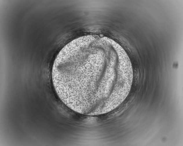 X0000101970609200808151339
