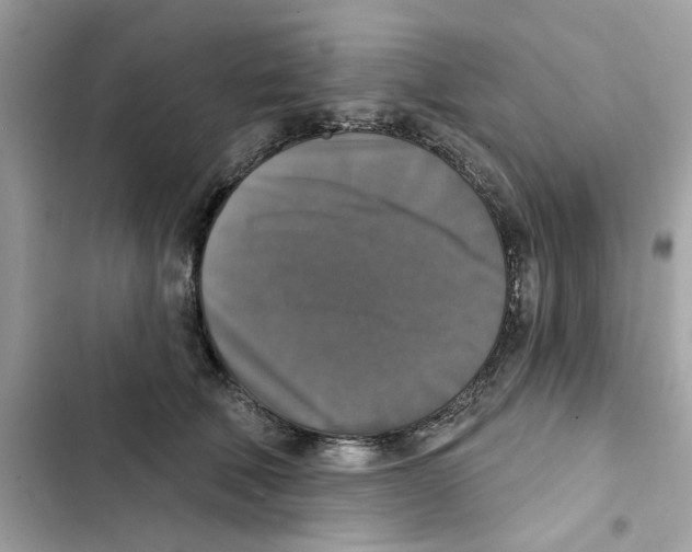 X0000101970610200808151339