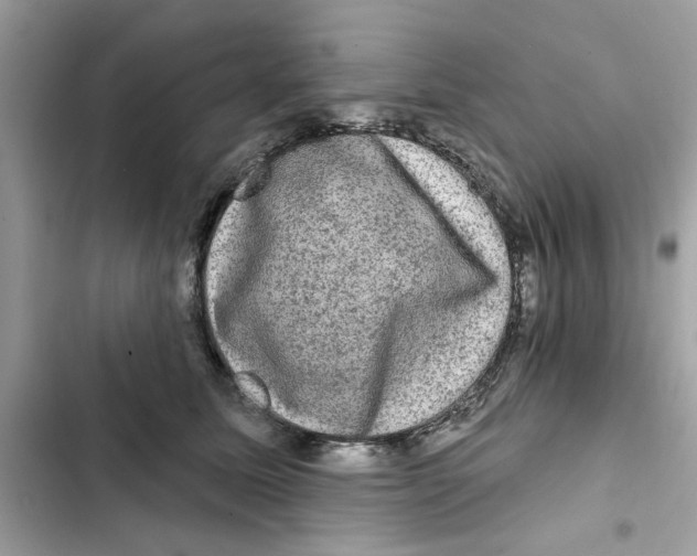 X0000101970611200808151339