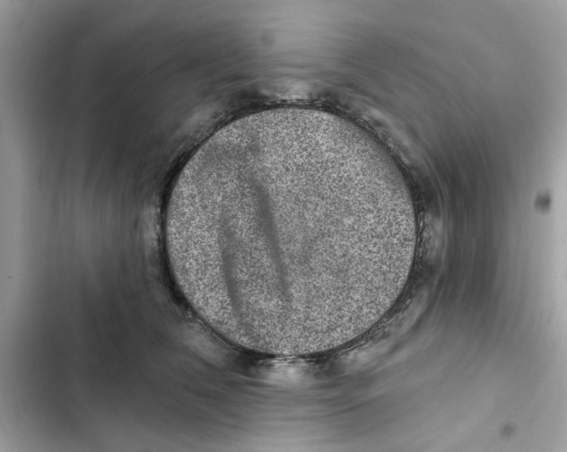 X0000101970612200808151339