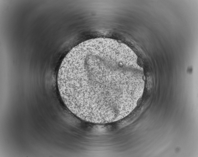 X0000101970613200808151339
