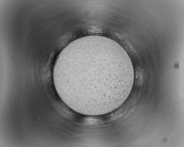 X0000101970614200808151339
