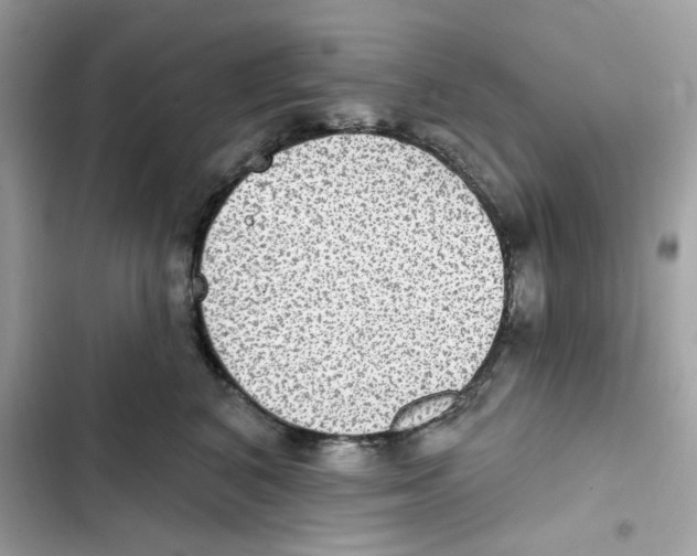 X0000101970616200808151339