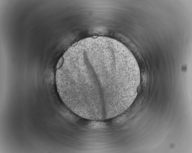 X0000101970617200808151339
